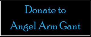 Angel Arm Donate
